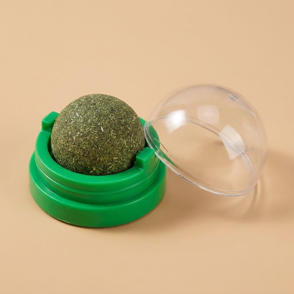 Green compressed catnip ball in green base with clear dome lid beside it