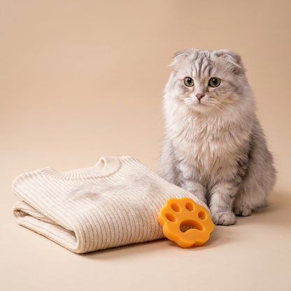 Grey Scottish Fold beside orange paw cat hair remover and beige sweater with shed fur