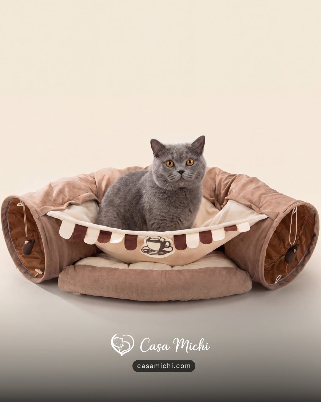 Grey British Shorthair sitting in brown cafe-style cat tunnel bed with coffee cup emblem