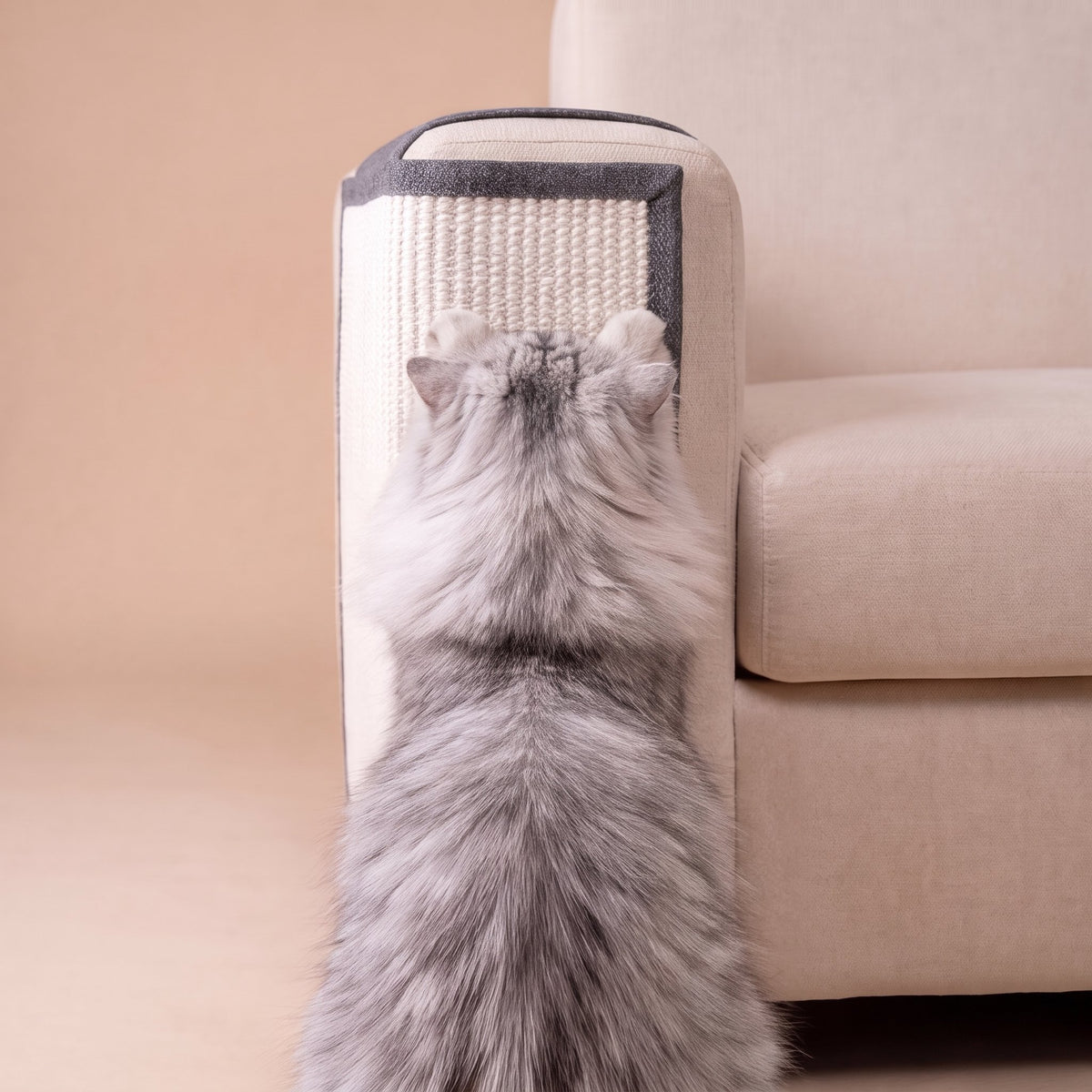 Grey cat from behind using sisal scratch protector on cream sofa arm