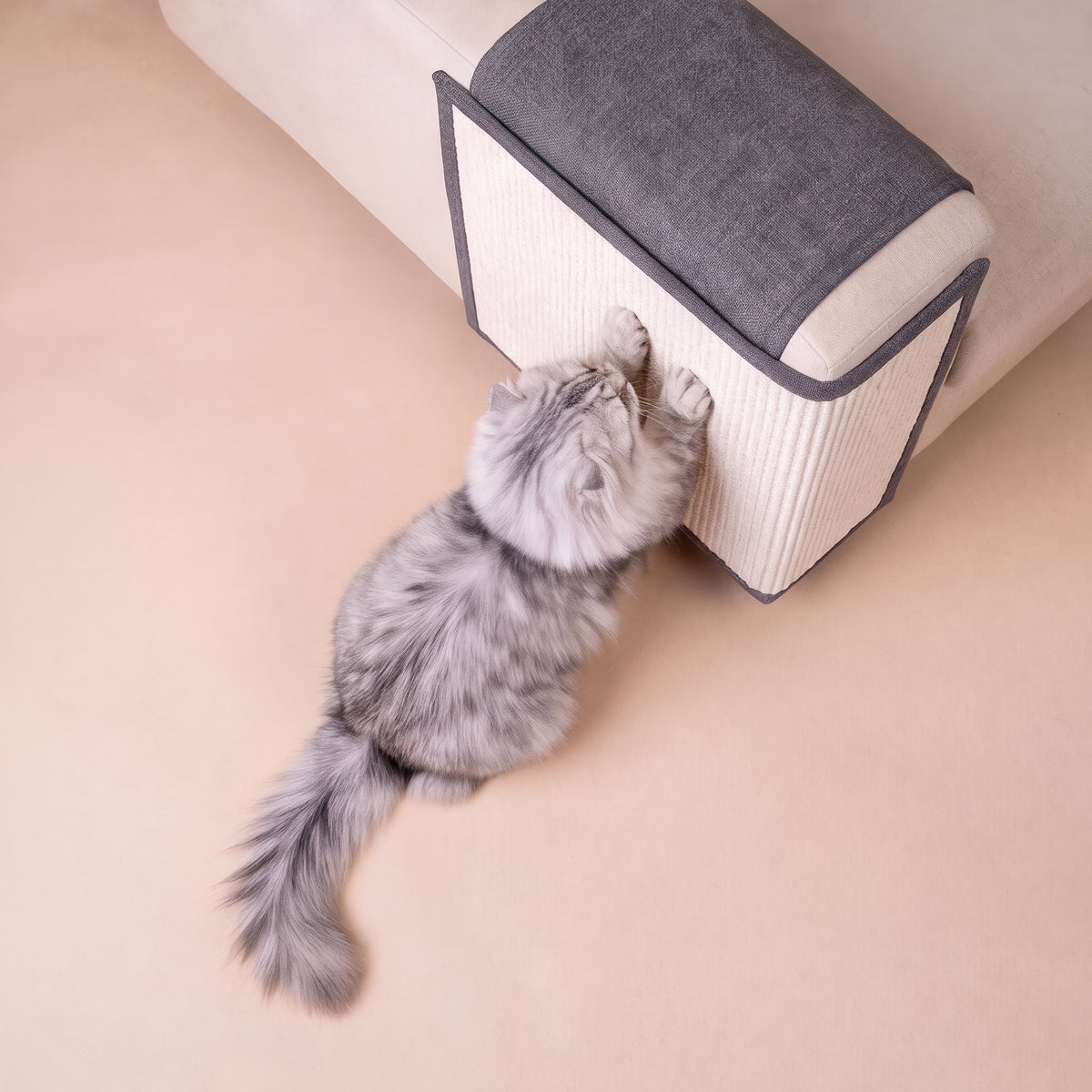 Grey tabby scratching cream sisal panel with dark grey fabric top on sofa arm