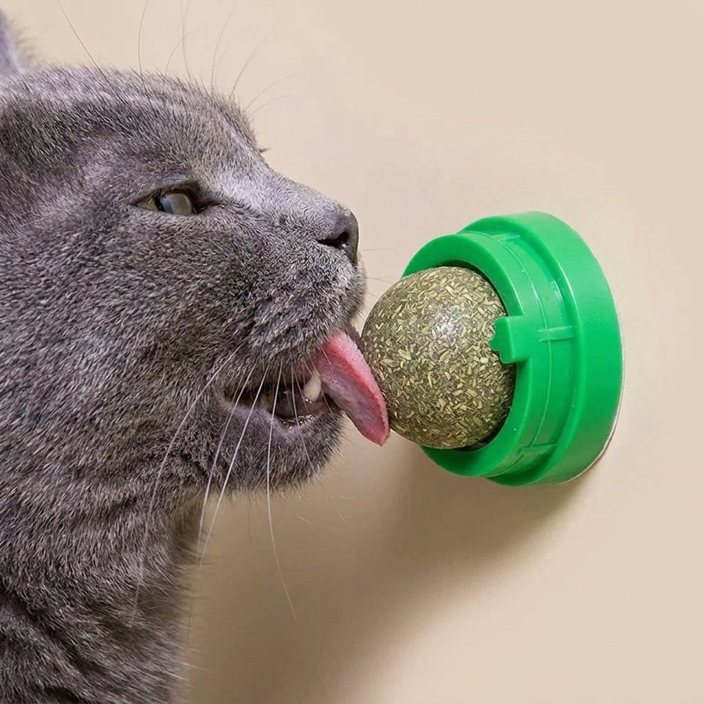 Grey cat licking compressed catnip ball on green rotating mount