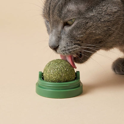 Grey cat close-up licking green catnip ball in forest green cradle