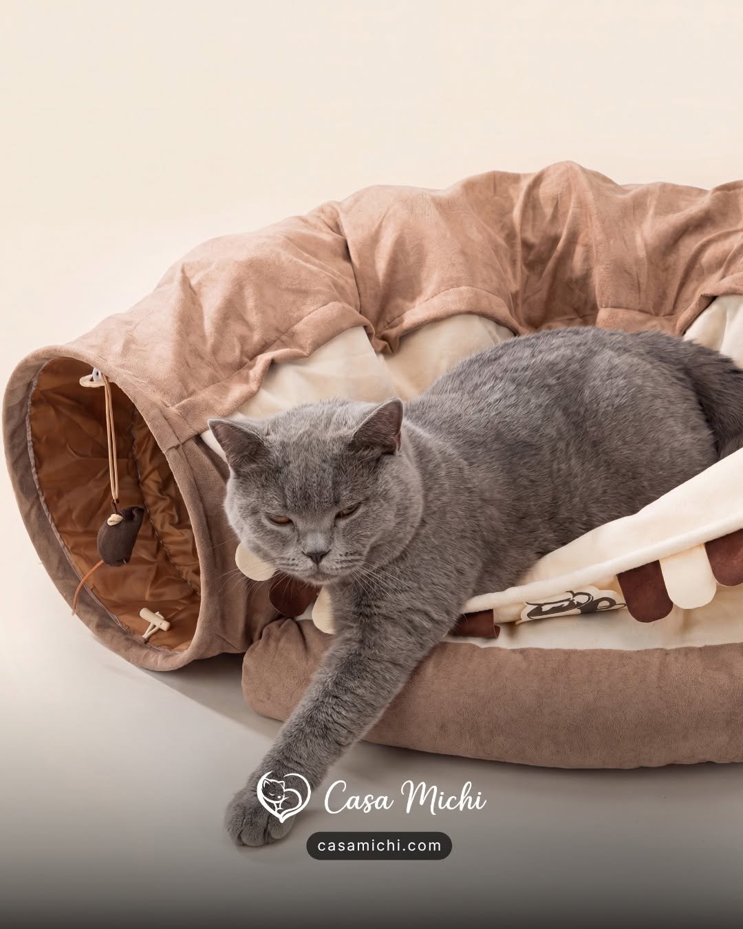Grey British Shorthair lounging in tan tunnel bed with hanging ball and toggle toys