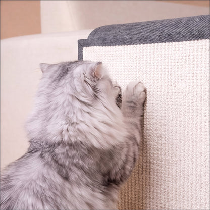 Close-up of fluffy grey cat paws on cream sisal sofa scratch protector