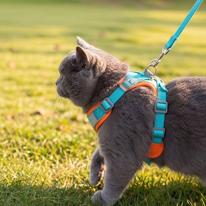 Grey cat in profile walking on grass in a teal and orange mesh harness with leash
