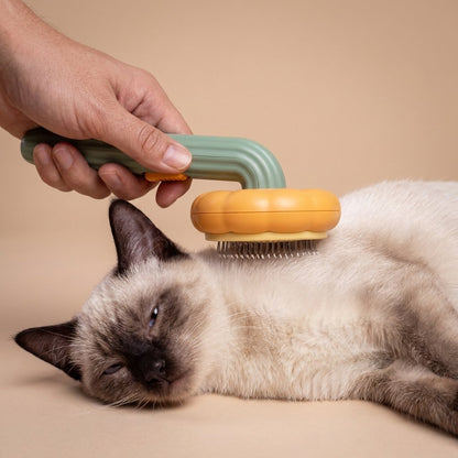 Siamese cat being brushed with sage green and orange pumpkin slicker brush