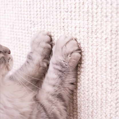 Close-up of grey tabby paws on woven cream sisal scratch surface