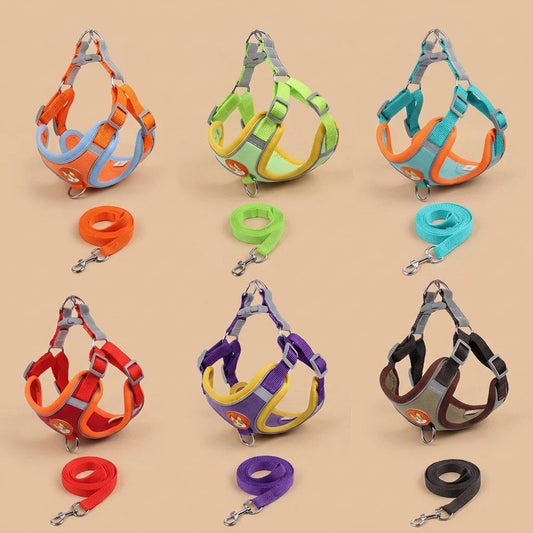 Casa Michi cat harness and leash all colors board, six padded sets with matching leashes