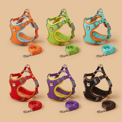Casa Michi mesh harness all colors board with reflective piping and breed chest patches