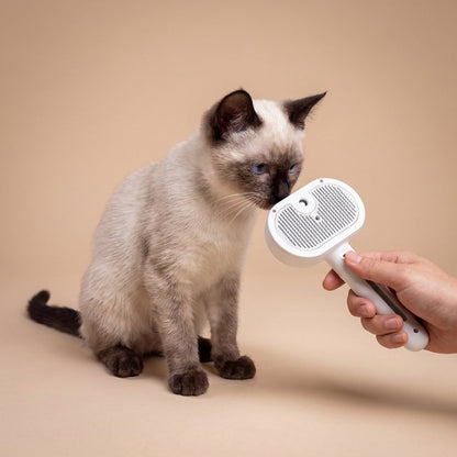 Siamese kitten sniffing white steam grooming brush with soft silicone bristles