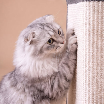 Grey Scottish Fold close-up scratching cream woven sofa protector panel