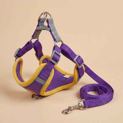 Purple mesh cat harness with yellow trim and matching leash, studio product shot