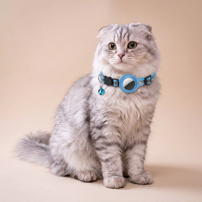 Grey Scottish Fold full body wearing light blue reflective AirTag cat collar