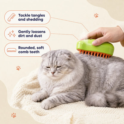 Gato Scottish Fold plateado relajado mientras lo cepillan con el Steamy Cat Brush verde, con mensajes: combate enredos y caída de pelo, afloja suavemente la suciedad y el polvo, púas redondeadas y suaves