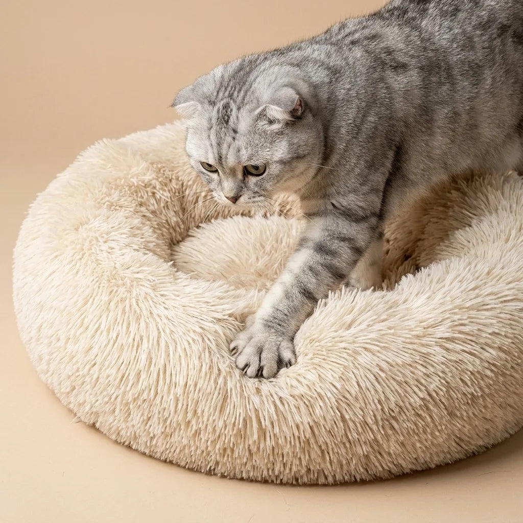 Silver tabby cat stepping into cream Casa Michi donut cat bed, paw on raised rim
