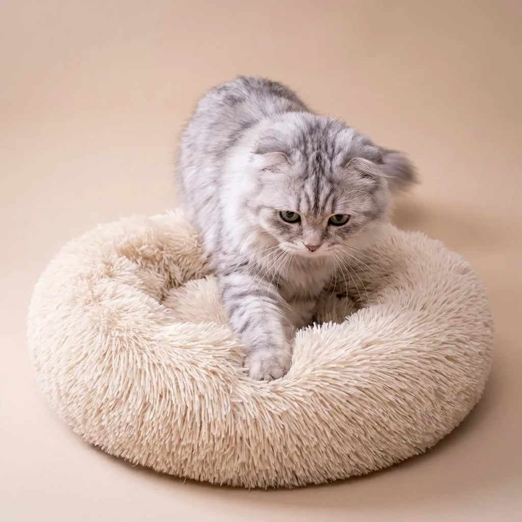 Silver tabby kitten climbing into cream Casa Michi donut cat bed center cushion